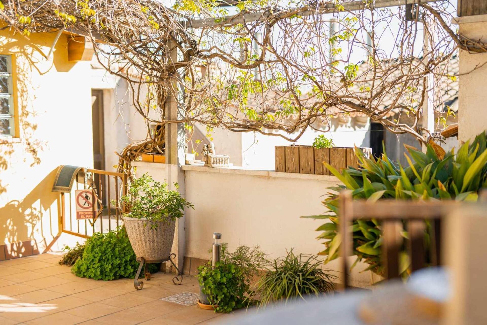 La Teuleria De Linyola Villa Ngoại thất bức ảnh